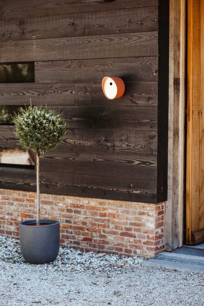 Modernes Vogelhaus aus Keramik an einer Wand aus dunklem Holz über einem Pflanzkübel mit einem Bäumchen.