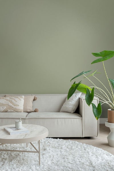 ESTAhome Wandfarbe matt  Salbeigrün - 2 l / ca. 18 m² - 191001
