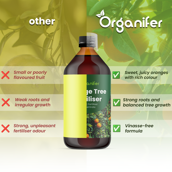 Organifer Logo. Organifer Orangenbaumdünger im Vergleich: Vorteile wie süße Früchte, starke Wurzeln und vinassefreie Formel.