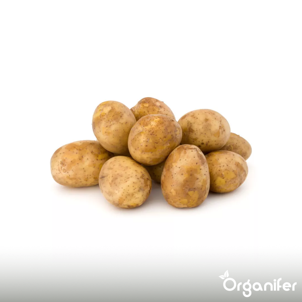 Luxula LED-Fluter mit den Maßen 143 x 130 x 24 Millimeter, 20 Watt und 400 Lumen