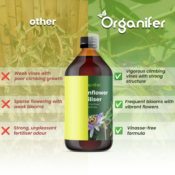 Flasche Organifer Sonnenblumendünger mit Vergleich zu anderen Produkten, zeigt kräftiges Wachstum, häufige Blüte und vinassefreie Rezeptur