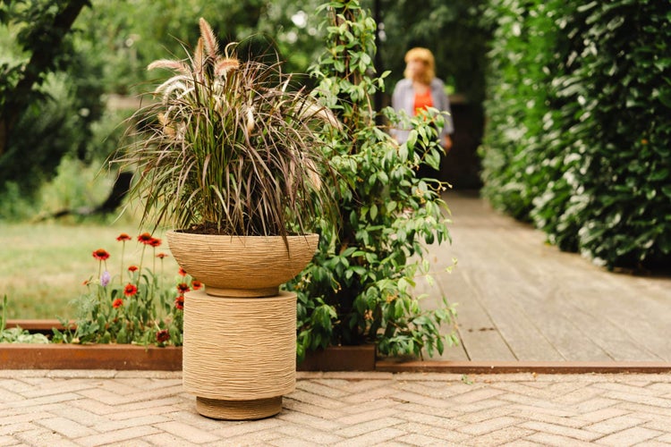 Strukturierter Pflanzkübel mit Federborstengras im Garten auf einer gepflasterten Terrasse platziert.