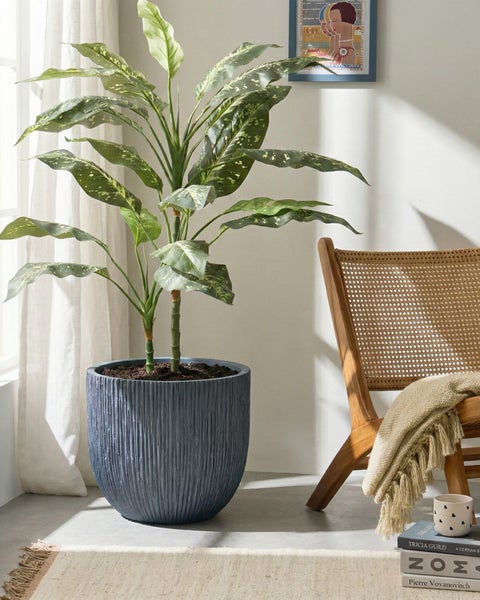 Dekoratives Zimmer mit Dieffenbachia Pflanze in gerilltem Pflanzgefäß, Holzstuhl und dekorativen Gegenständen