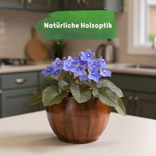 Blühendes Usambaraveilchen in einem runden Pflanztopf mit natürlicher Holzoptik auf einer hellen Küchenarbeitsplatte.