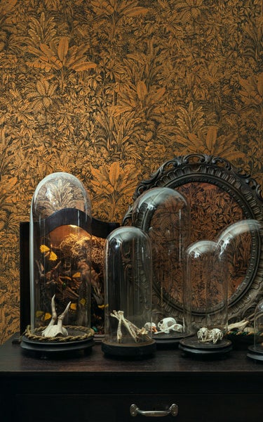 Nahaufnahme einer Zwergmispel mit grünen Blättern und braunen Ästen.