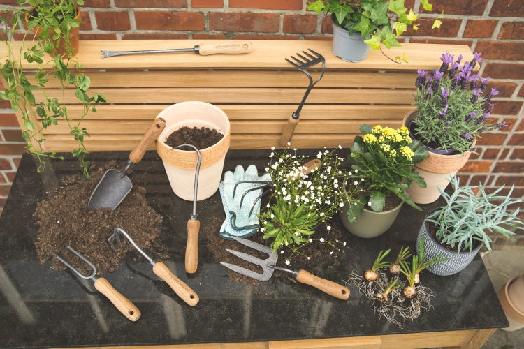 Teak Handharke Blumen Harke Kralle geschmiedet mit Teakholz Griff premium