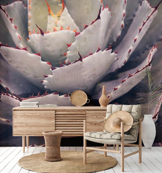 Fototapete mit Nahaufnahme einer Agave in einem modernen Wohnzimmer mit Holzmöbeln und Dekoration aus Naturmaterialien.
