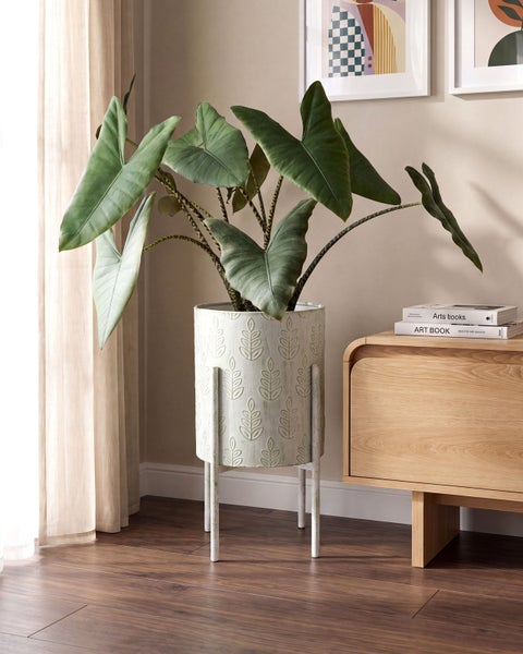 Zimmerpflanze Alocasia in einem runden Metall-Pflanztopf mit Blattmuster auf einem Standgestell neben einem Holzschrank im Wohnzimmer