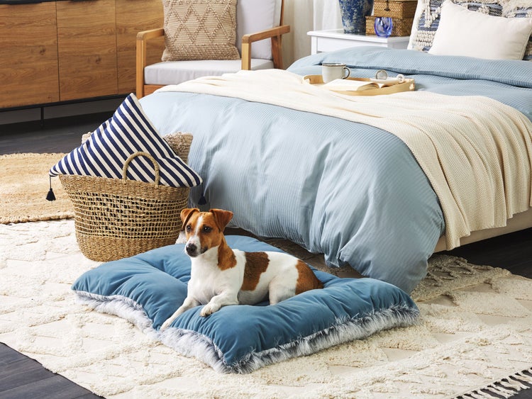 Tierbett ERGANI Samtstoff Blau