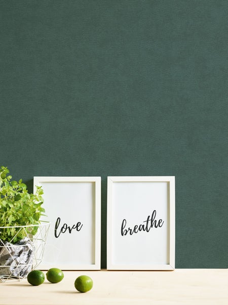 Dekorative Szene mit Pflanze, zwei Bildern mit Schriftzug und Limetten vor einer Wand