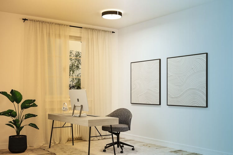 Arbeitszimmer mit Schreibtisch, Bürostuhl, Zimmerpflanze, Wanddekoration und Deckenleuchte