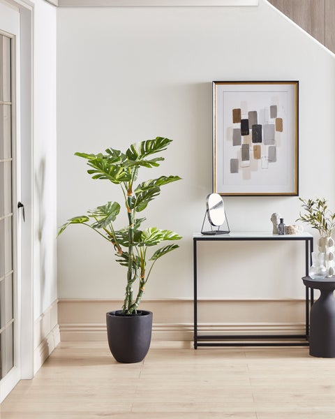 Zimmeransicht mit Monstera Deliciosa Pflanze im Topf, Konsole und Dekoration