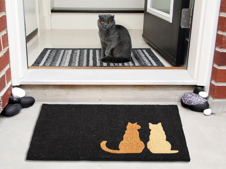 Fußmatte mit Katzenmotiv und Katze vor Haustür