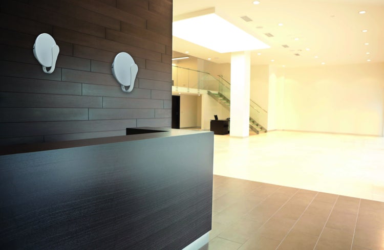 Zwei Haken mit Saugnapf an dunkler Holzvertäfelung in einem hellen Raum.