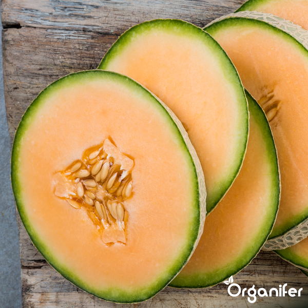 Scheiben einer Cantaloupe-Melone mit orangefarbenem Fruchtfleisch, grüner Schale und Kernen auf Holz. Organifer Logo.