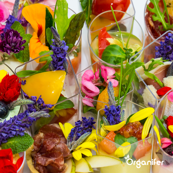Essbare Blumen Saatgutpaket - 11 Arten - Organifer