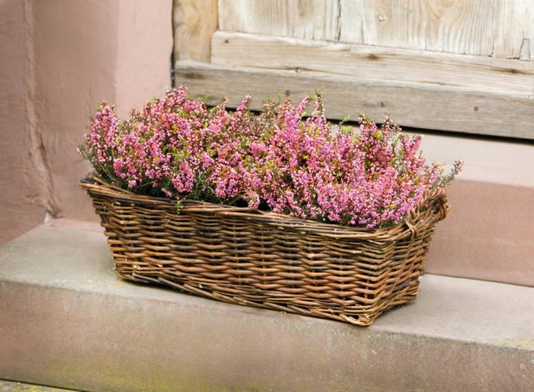 Dekoleidenschaft Pflanzkasten aus Weide, eckig, 53 cm lang, natur, Balkonkasten, Blumenkasten für Draußen, Pflanzgefäß