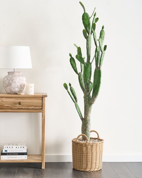 Dekorative Opuntie im geflochtenen Korb neben einem Beistelltisch mit Lampe und Büchern.