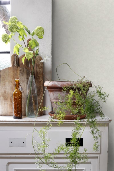 Dekorative Szene mit Pflanzen, Flaschen und Schneidebrettern auf einem Schrank