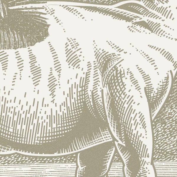 Illustration eines Elefanten im Gravurstil