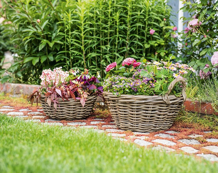 Dekoleidenschaft Pflanzschale Koboo Grey Ø 43x18 cm groß, aus Rattan, rund, grau, Pflanzkorb, Blumentopf,  Pflanztopf für Draußen, Blumenkübel