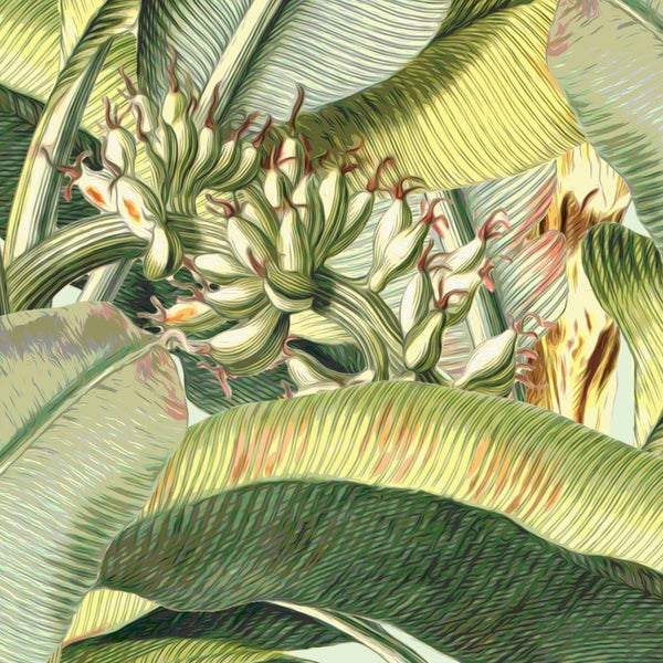 Grafikdesign mit Bananenblättern und Bananenblüten