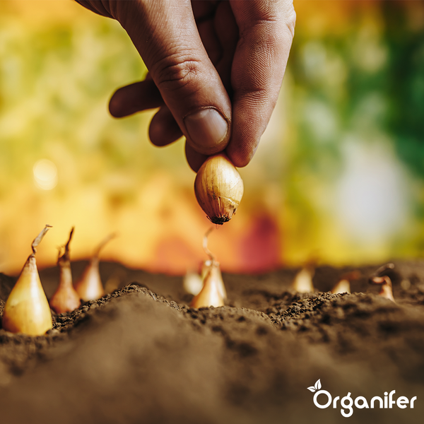 Stehleuchte mit geflochtenem Schirm und Stativfuß