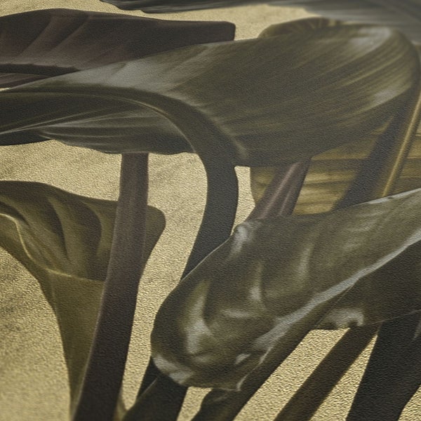 Abzieher-Set mit verschiedenen Größen für diverse Anwendungen