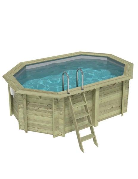 Holzpool mit Leiter und Wasser