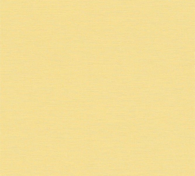 Nahaufnahme einer Kiefernnadel mit Trieb