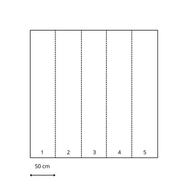 ESTAhome Fototapete Blumen Schwarz, Rot, Blau, Weiß und Grün - 232,5 cm x 2,79 m - 158115