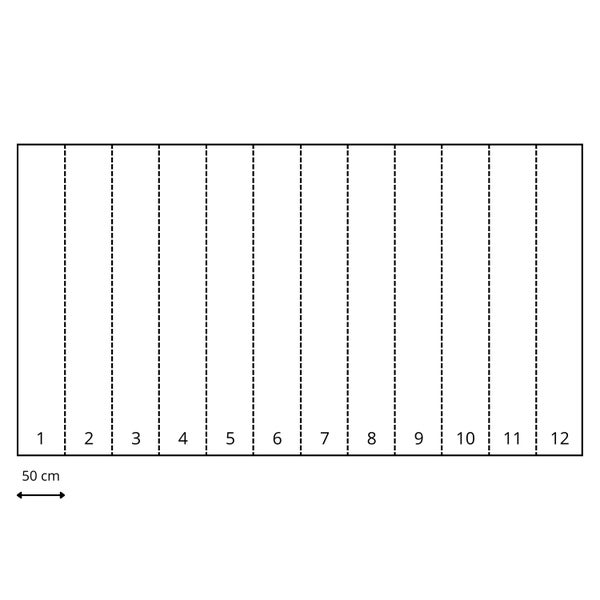 Diagramm mit zwölf Abschnitten von je 50 Zentimetern Länge