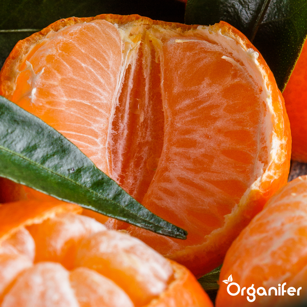 Geschälte Mandarine mit sichtbaren Segmenten und einem Blatt. Organifer Logo.