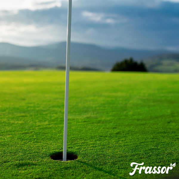 Gepflegter, satter grüner Rasen auf einem Golfplatz mit Loch und Fahnenstange, inklusive Frassor Logo.