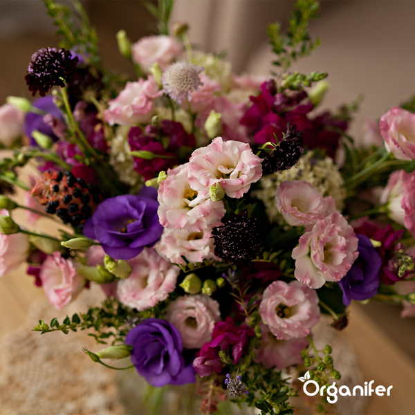 Schnittblumen-Saatgutpaket - 20 Arten - Organifer