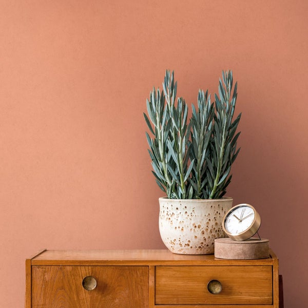 Heller Flur mit Deckenleuchten und Fensterfront