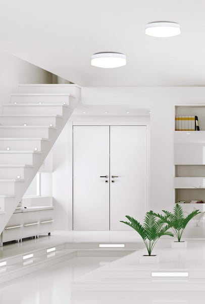 Heller Raum mit Treppe, weißen Türen, Einbauregalen und Deckenleuchten