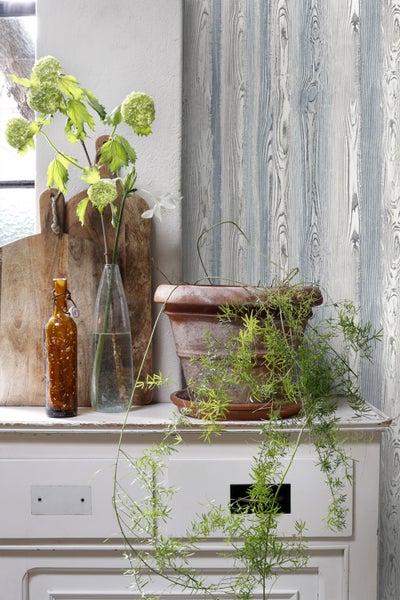 Dekorative Szene mit Holzbrett, Flaschen, Topfpflanze und Tapete in Holzoptik