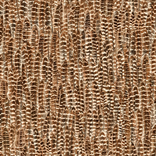 Origin Wallcoverings Tapete Federn Rostbraun - 53 cm x 10.05 m - 347395