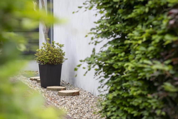 Moderner Garten mit einem dunklen, geriffelten Pflanztopf auf einem Kiesweg mit hölzernen Trittsteinen neben einer weißen Wand.