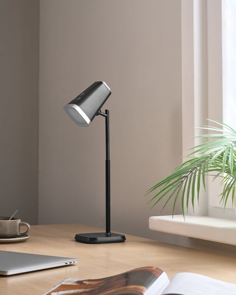 Schreibtisch mit Schreibtischleuchte, Laptop und Zimmerpflanze