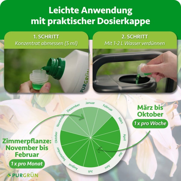 Anwendungshinweise für Purgrün Dünger mit Dosierungsschritte und jährlichem Anwendungszeitraum für Zimmerpflanzen.