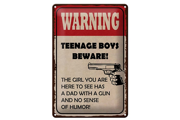 Blechschild Spruch 20x30cm warning teenage boys beware
