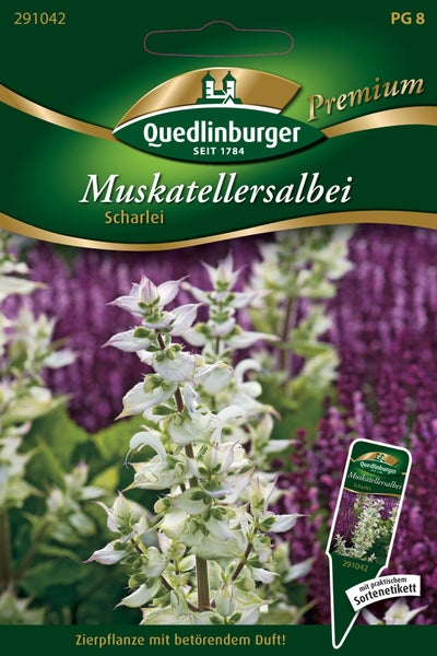Quedlinburger Logo. Samentüte für Muskatellersalbei mit einer Abbildung der blühenden Zierpflanze und einem Sortenetikett.