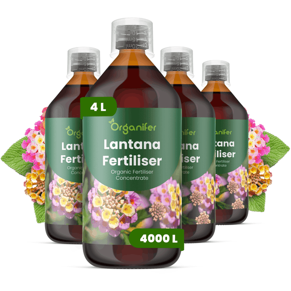 Vier Flaschen Organifer Lantana Dünger, organisches Düngerkonzentrat, 4 Liter ausreichend für 4000 Liter Gießwasser.