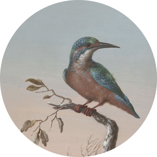 ESTAhome selbstklebende runde Tapete Eisvogel auf Zweig Abendrot - Ø 70 cm - 158993