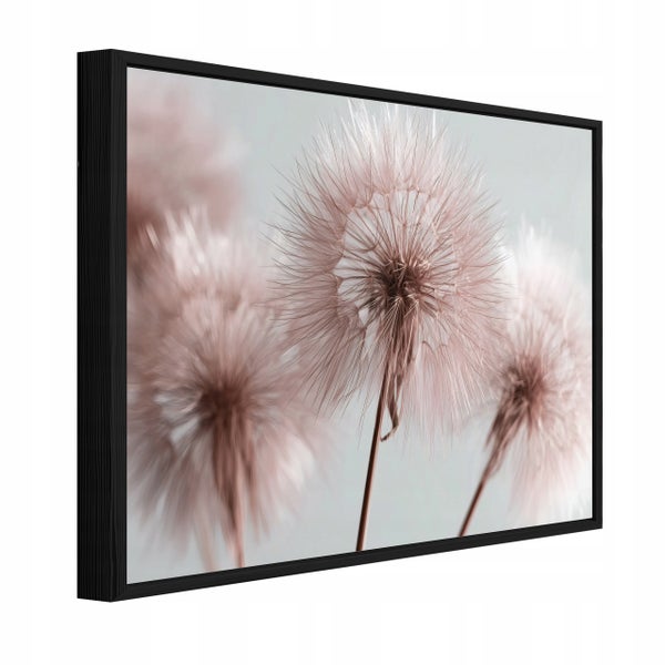 Wandbild mit Pusteblumen Motiv im schwarzen Holzrahmen