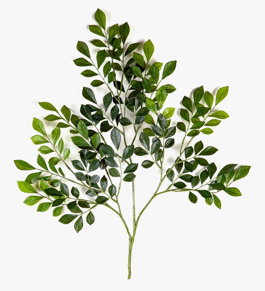 Künstlicher Ruscuszweig mit grünen Blättern für Dekorationen.