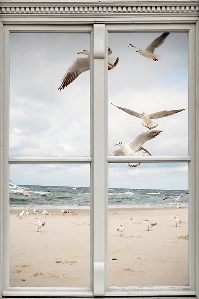Blick durch ein Fenster auf einen Strand mit Möwen