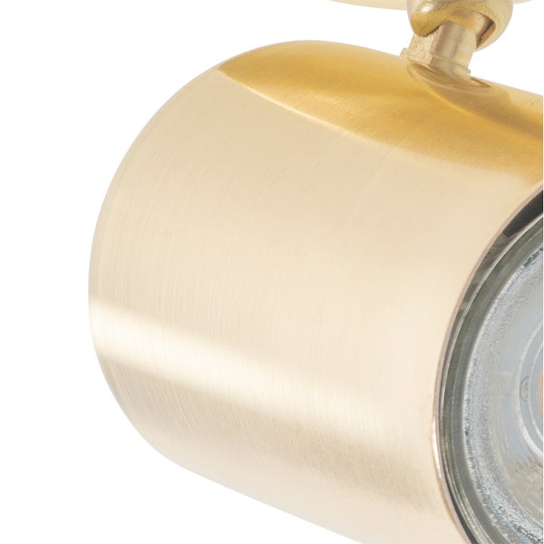 Detailaufnahme eines einzelnen goldenen Strahlers.